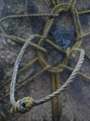 close up of knot 