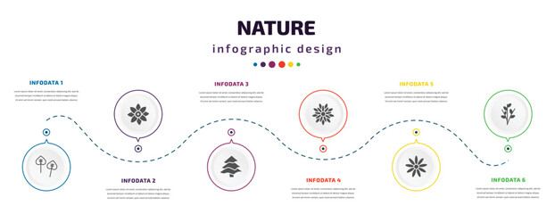 nature infographic element with icons and 6 step or option. nature icons such as poplar, jonquil, balsam fir tree, gerbera, daisy, willow vector. can be used for banner, info graph, web, - obrazy, fototapety, plakaty