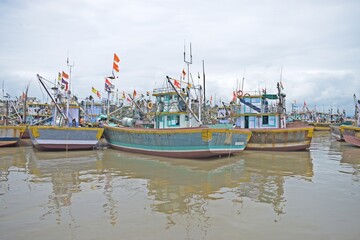 boats  in the harbour 