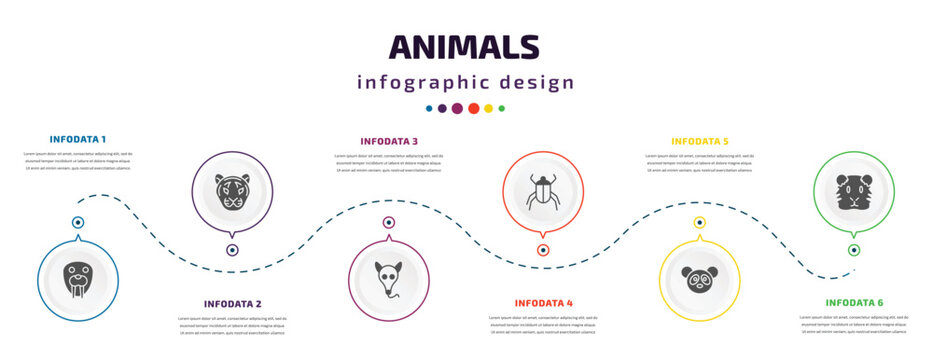 animals infographic element with icons and 6 step or option. animals icons such as walrus, tiger, ant eater, beetle, panda, guinea pig heag vector. can be used for banner, info graph, web,