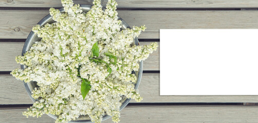 White lilac bowl on a wooden backdrop