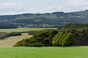 Fototapeta na wymiar Landscape of Country Victoria, Australia