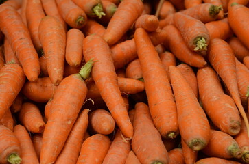 Carrots close up, harvest