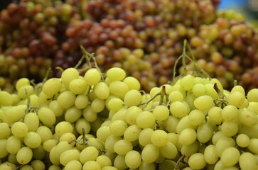 Bunch of grapes. Lots of green grapes. A stall in the market with grapes. Harvest merlot, sauvignon, shiraz,