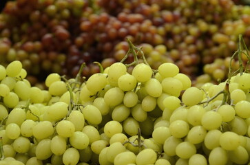 Bunch of grapes. Lots of green grapes. A stall in the market with grapes. Harvest merlot, sauvignon, shiraz,