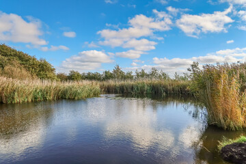 Fototapeta na wymiar Den Helder, Netherlands. Oktober 2022. Reflection in a little pond.