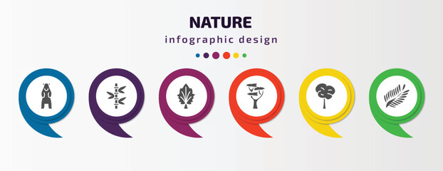 nature infographic template with icons and 6 step or option. nature icons such as polar, bamboo plant from japan, silver maple tree, eastern white pine tree, bigtooth aspen tree, fern vector. can be