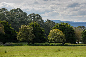 Landscape of Country Victoria, Australia