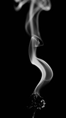 Smoke from a flower in black and white