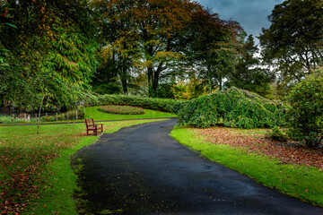 Fototapeta na wymiar path through the park in autumn season 