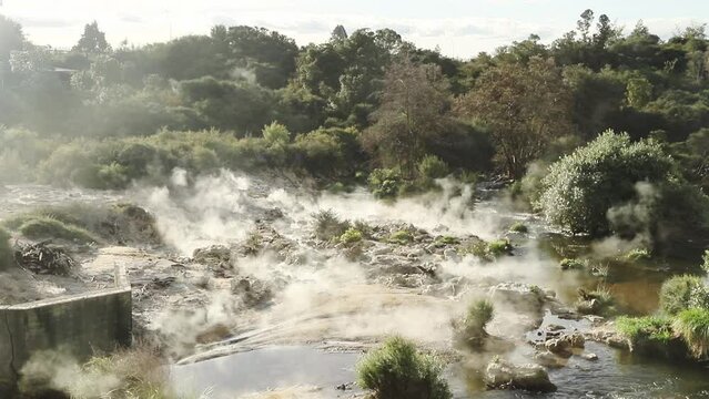 Te Pui Pohuta geyser in geothermal volcanic park Rotorua New Zealand. High quality FullHD footage