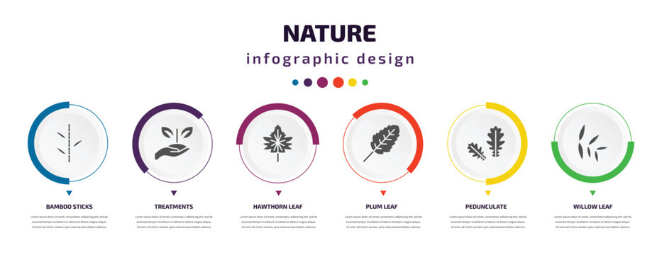 nature infographic element with icons and 6 step or option. nature icons such as bamboo sticks, treatments, hawthorn leaf, plum leaf, pedunculate, willow leaf vector. can be used for banner, info