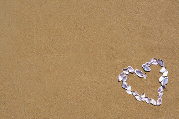 Fototapeta na wymiar Heart made with beautiful sea shells on wet sand, flat lay. Space for text