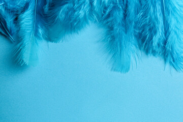 Beautiful feathers on light blue background, flat lay. Space for text