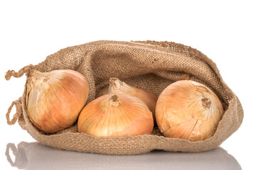 Four organic juicy unpeeled onions in a jute bag, close-up, on a white background.