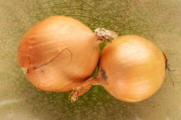 Two organic onions on a ceramic plate, close-up, top view.