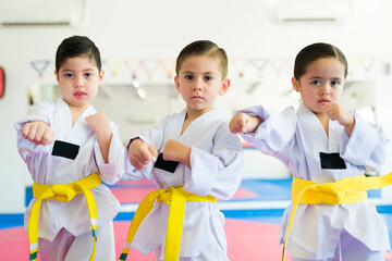 Little toddlers enjoying a martial arts class