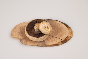 Wild mushrooms from the forest, on wooden board with white background