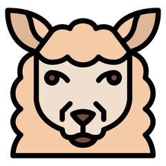 sheep animal