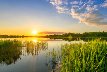 Amazing view at scenic landscape on a beautiful lake and colorful sunset with reflection on water surface among green reeds and glow on a background, spring season landscape