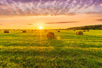 Scenic view at picturesque burning sunset in a green shiny field with hay stacks, bright cloudy sky , trees and golden sun rays, summer valley landscape © Yaroslav