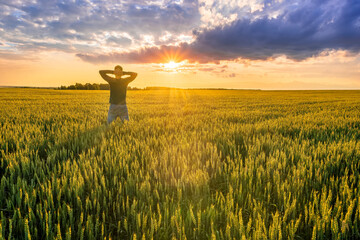 happy man and nature , standing with joy in wheat field with sunset with amazing cloudy sky on background of landscape