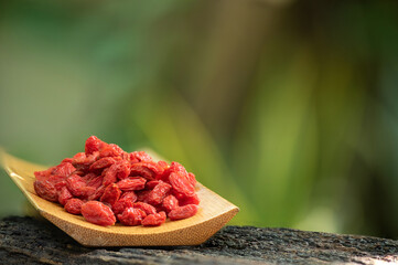Goji berry or Lycium barbarum fruits on nature background.