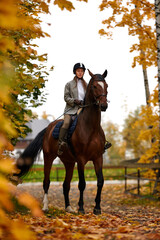 Portrait of a pretty young woman with a brown horse riding autumn day