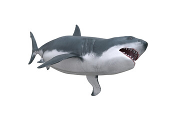 Great White Shark turning. 3D render isolated on transparent background.