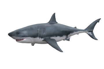 Fototapeta premium Great White Shark. 3D render isolated on transparent background.