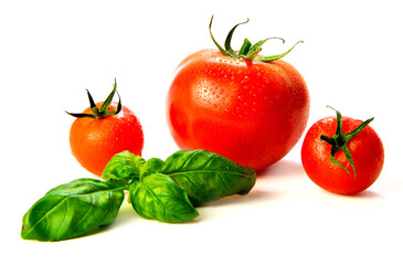Fresh tomatoes and basil on white background