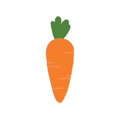Hand drawn cute carrot vector isolated on white background. 