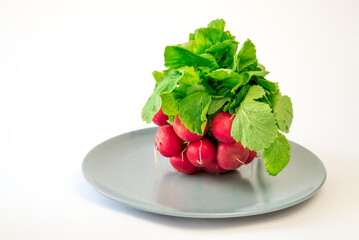Fresh bunch of radish on isolated background