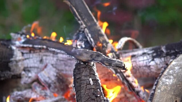 Holzfeuer