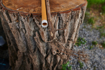 wind musical instrument wooden flute isolated.