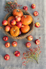 Obraz premium Various pumpkins and red apples in a wicker basket on a table covered with a canvas cloth. Autumn still life top view. Vertical photo.