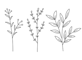 Field plants line vector, line flowers vector set, plants collection, minimalist line design, wild plants set vector