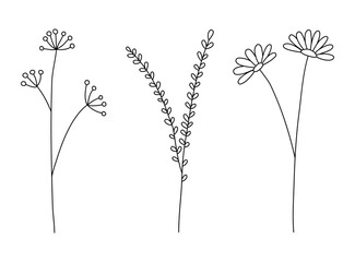 Field plants line vector, line flowers vector set, plants collection, minimalist line design, wild plants set vector