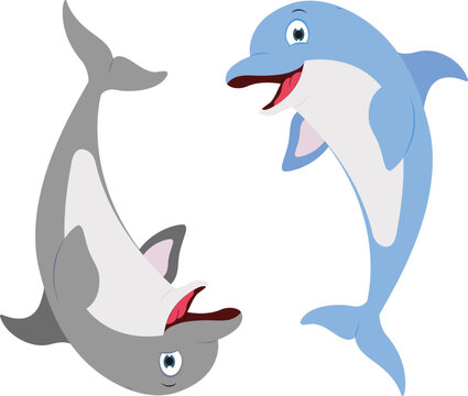 Illustration of two different color dolphins
