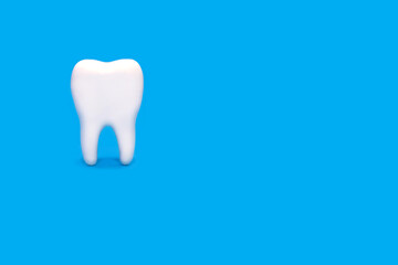 Molar on a blue background and free space for text. Medical concept of dental health and proper care of molars. Inspection of the root of the tooth. Perfect molar on isolated background