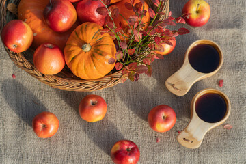 A variety of pumpkins in a wicker basket, red apples and tea in wooden mugs on a table covered with a canvas tablecloth. Autumn still life top view. Horizontal photo.