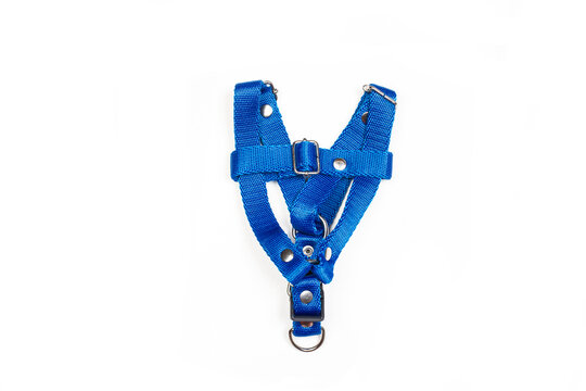 Arnes azul para perros sobre un fondo blanco liso y aislado. Vista superior y de cerca. Copy space
