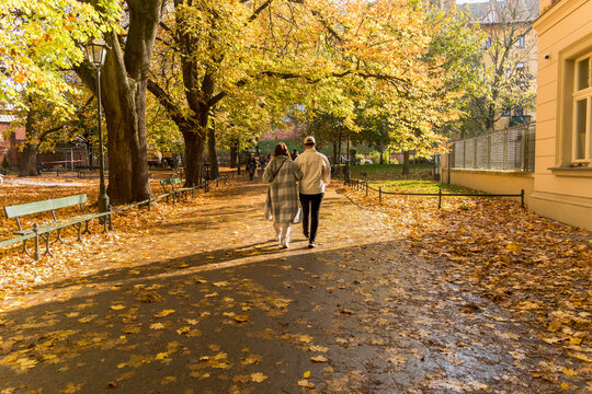 A couple of lovers walk along the alley of the park on a sunny autumn day after the rain, the play of light and shadow on golden leaves, long shadows, background image of autumn, rear view
