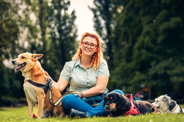 Female dog walker with dogs enjoying in city park. - obrazy, fototapety, plakaty