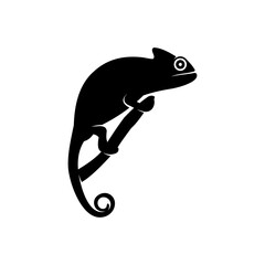 chameleon vector logo © joko