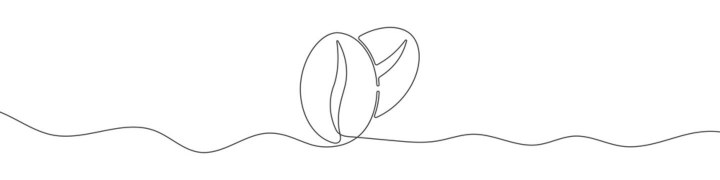 Linear coffee grain background. One continuous line drawing of a coffee bean. Vector illustration. Coffee bean icon isolated