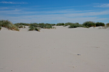 Dune landscape on the island of Amrum