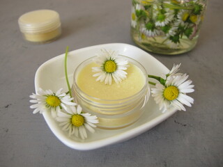 Fototapeta na wymiar Homemade daisy ointment with daisy extract in a small jar