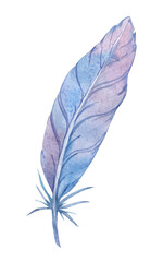 Bird feather, watercolor painting sketch. PNG file