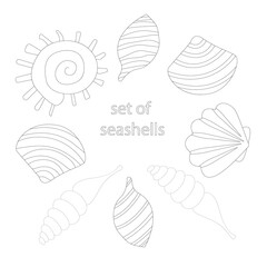 Set of sea shells. Coloring book - vector illustration, eps